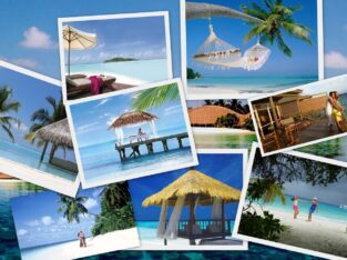 Booking Tours Packages