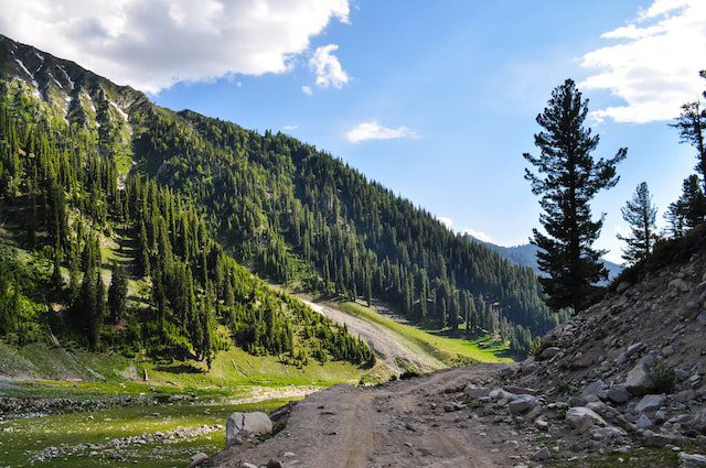 The Beautiful Valley in the Northern area of Pakistan is called Kumrat Valley, Northern Area Pakistan.