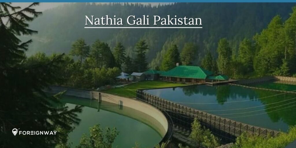 The view of Nathia Gali Pakistan is a beautiful place to visit for peace and calm.