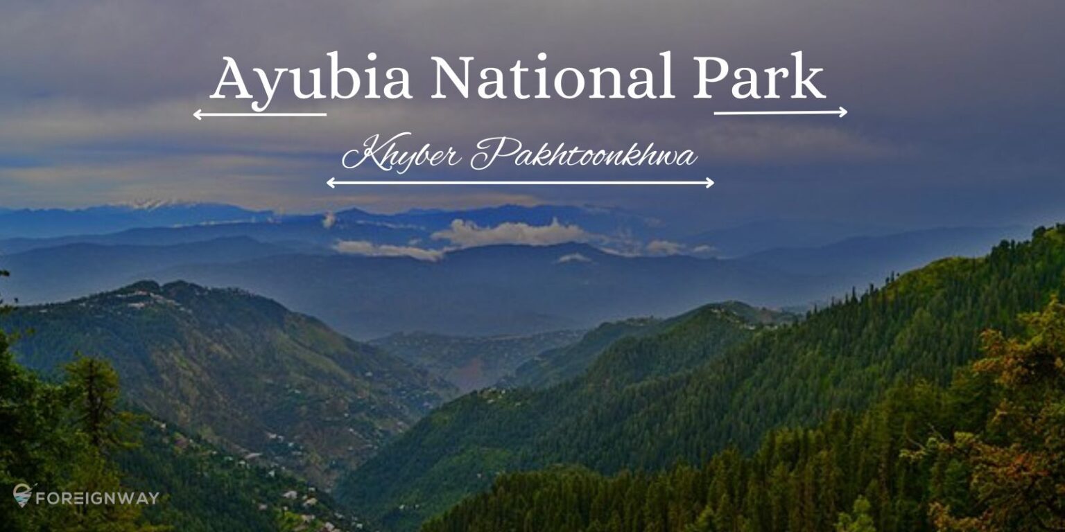 Ayubia National Park: Hiking, Wildlife & Adventure - Foreignway